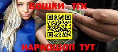 индика Моздок