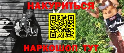 индика Моздок